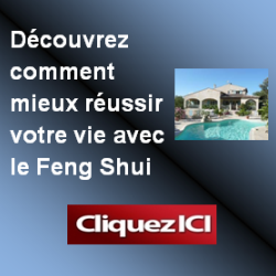 Banni�re FENG SHUI 3