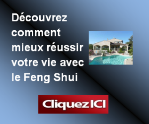 Banni�re FENG SHUI 2