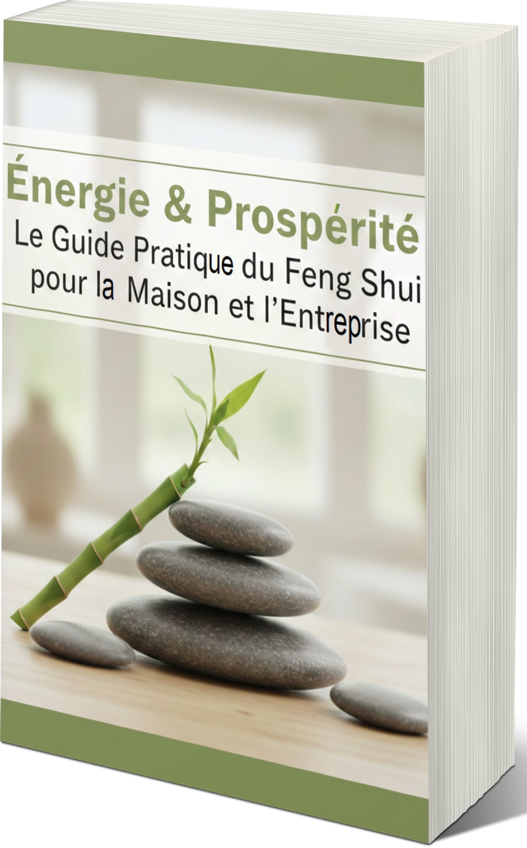 Couverture du livre FENG SHUI