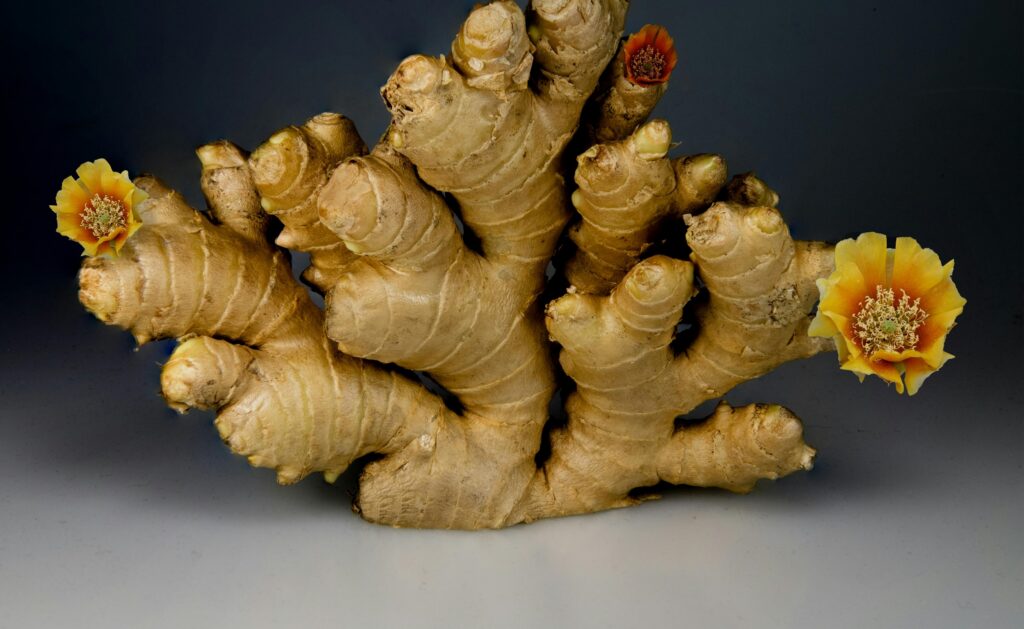 image les bienfaits du gingembre